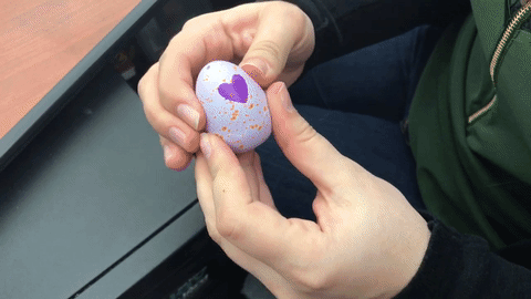 The Hatching Continues with Hatchimals Colleggtibles - The Toy Insider