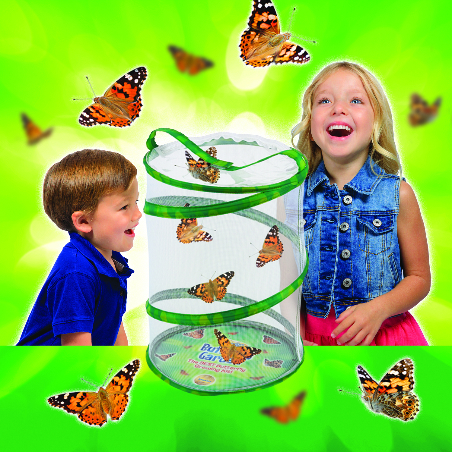 butterfly garden toy