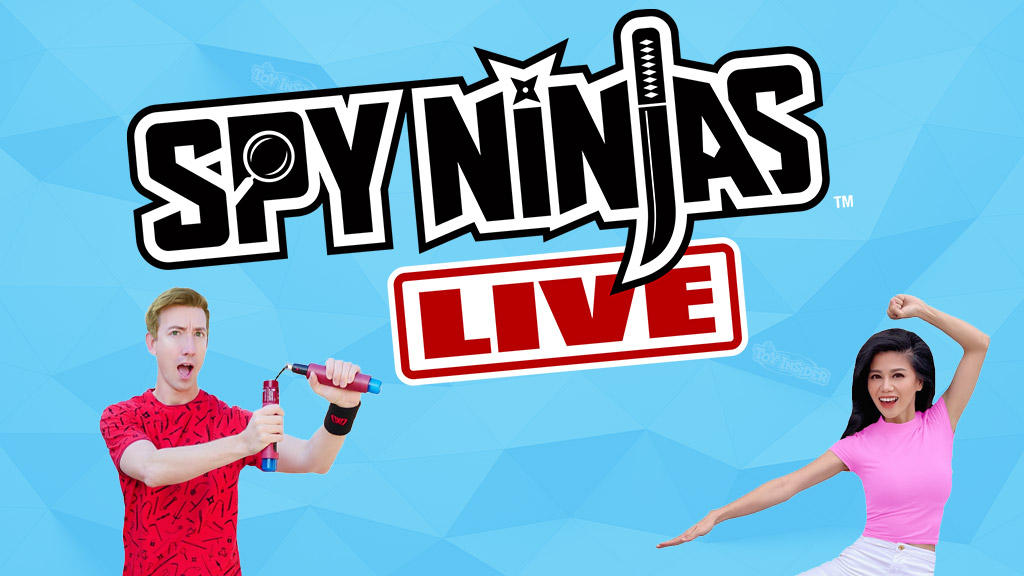 Protect the from Hackers at the Spy Ninjas Live Tour This Fall