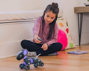 PYXEL: A Coder's Best Friend Sets Kids Up for Success | The Toy Insider