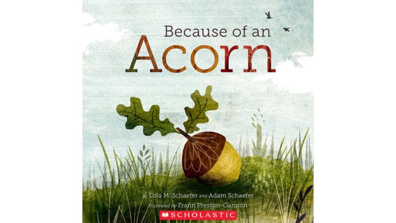 BECAUSE OF AN ACORN | The Toy Insider