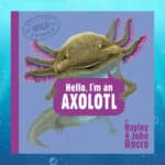 Axolotls Swim Into Story Time With ‘Hello, I’m an Axolotl’