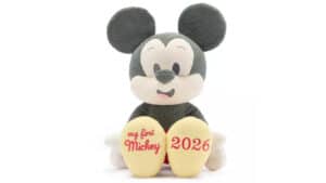 DisneyStore_MyFirstMickey-