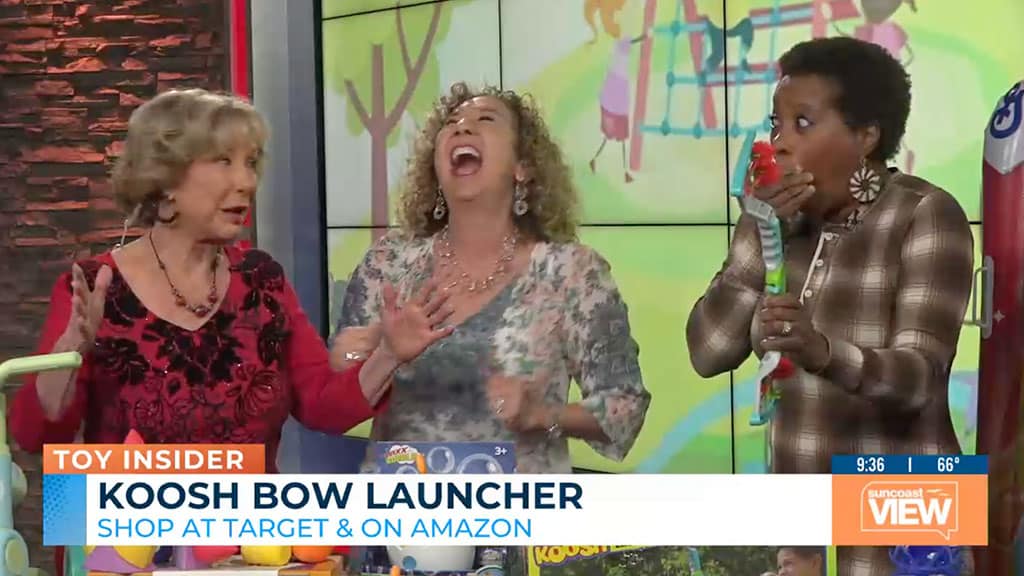 Toys for Fun in the Sun on Suncoast View Toys for Fun in the Sun on Suncoast View