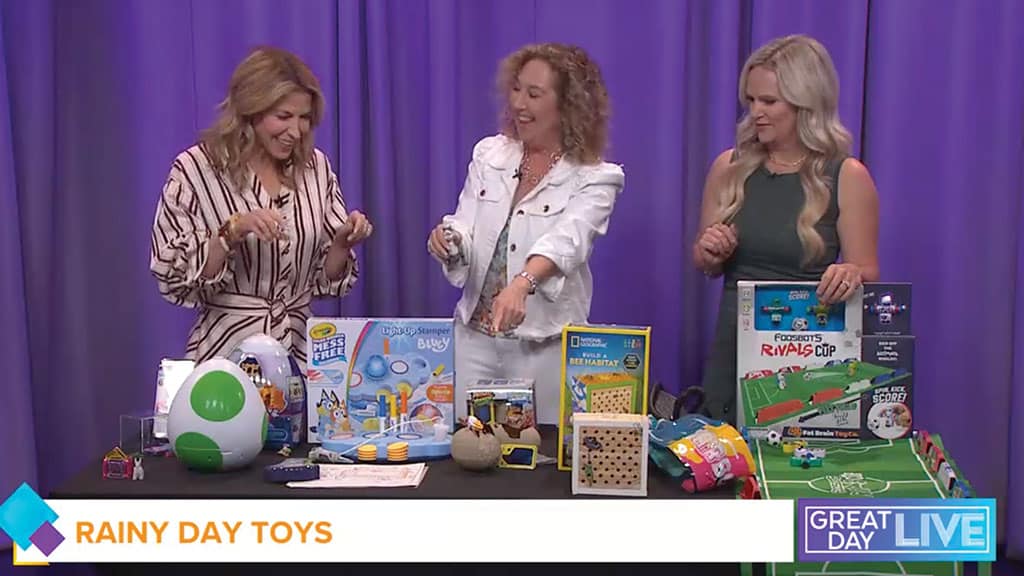 Toys for Rainy Day Play on Great Day Live