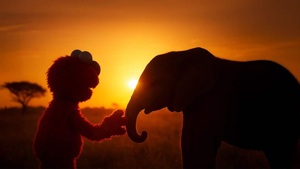 Sesame Street Heads on a Safari in New Episode of PBS’s ‘Nature’ 